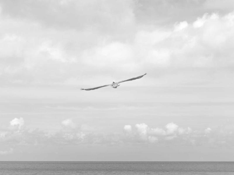 挪威的森林<br>ly8tfut.cn 直子疗养院